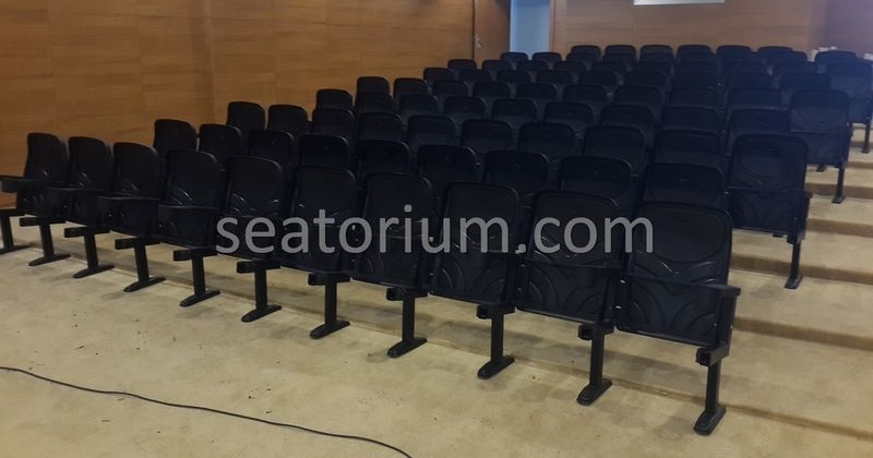 Rize Recep T. Erdoğan University Auditorium Hall - Seatorium™'s Auditorium
