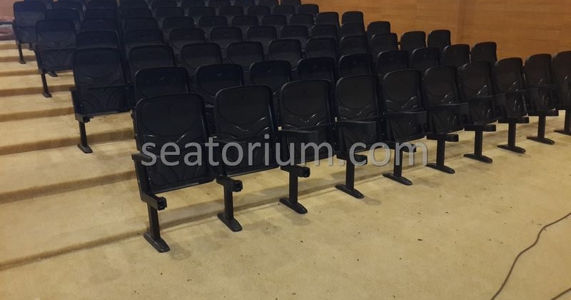 Rize Recep T. Erdoğan University Auditorium Hall - Seatorium™'s Auditorium