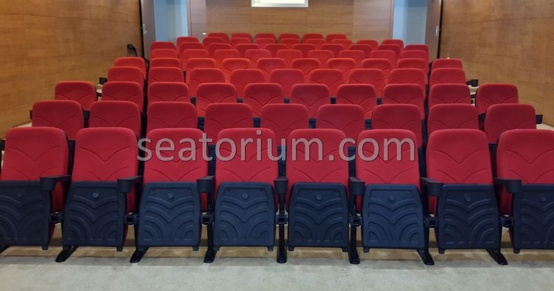 Rize Recep T. Erdoğan University Auditorium Hall - Seatorium™'s Auditorium
