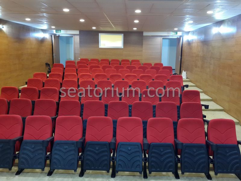 Rize Recep T. Erdoğan University Auditorium Hall - Seatorium™'s Auditorium