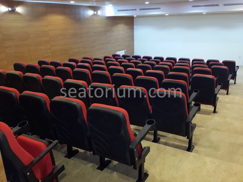 Rize Recep T. Erdoğan University Auditorium Hall - Seatorium™'s Auditorium