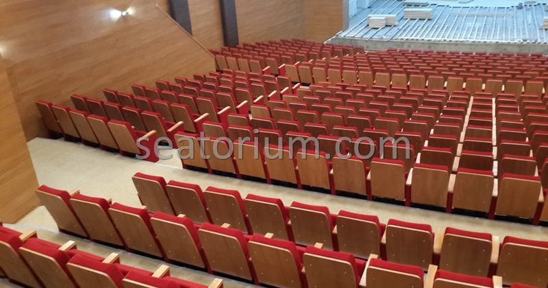 Rize Recep T. Erdoğan University Auditorium Hall - Seatorium™'s Auditorium