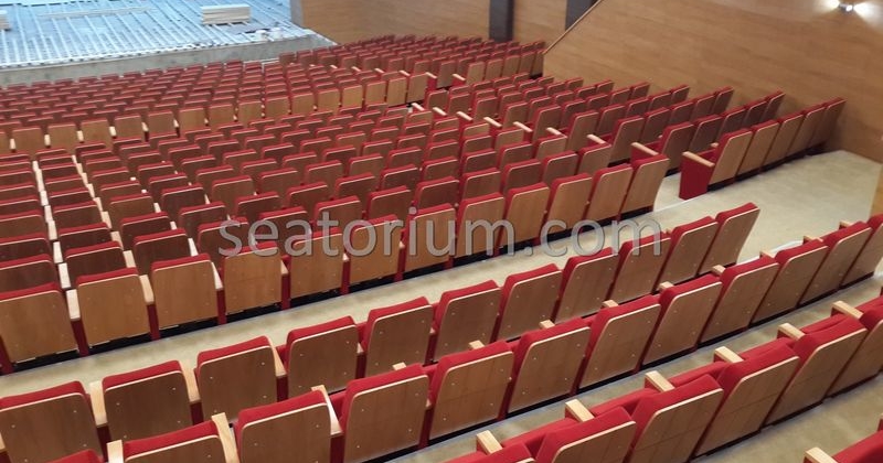 Rize Recep T. Erdoğan University Auditorium Hall - Seatorium™'s Auditorium
