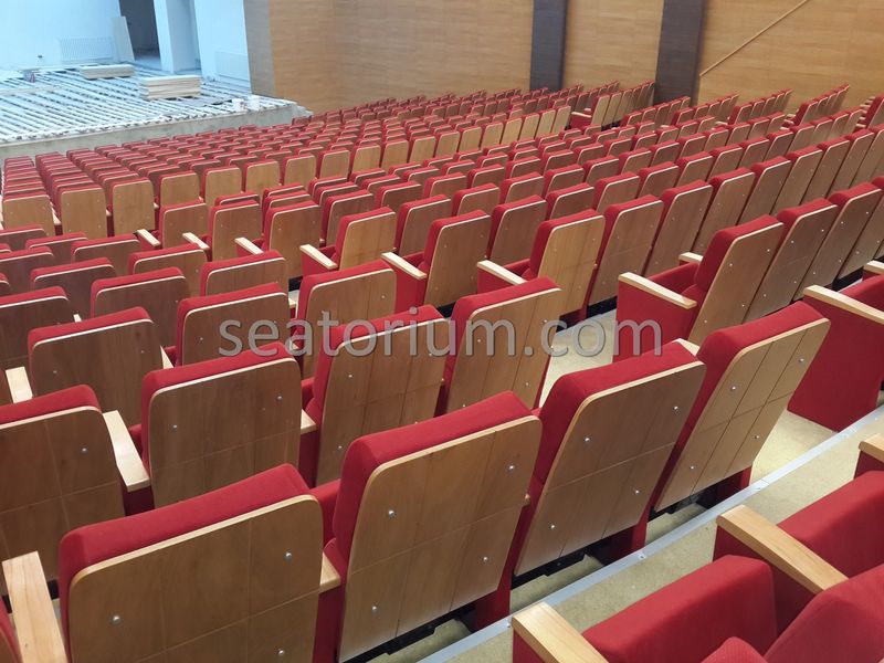 Rize Recep T. Erdoğan University Auditorium Hall - Seatorium™'s Auditorium