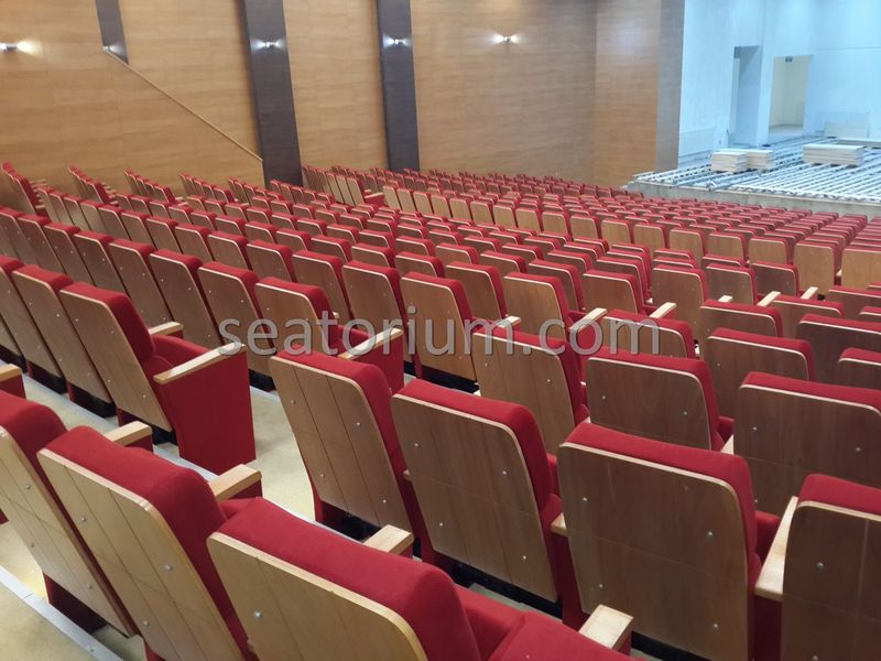 Rize Recep T. Erdoğan University Auditorium Hall - Seatorium™'s Auditorium