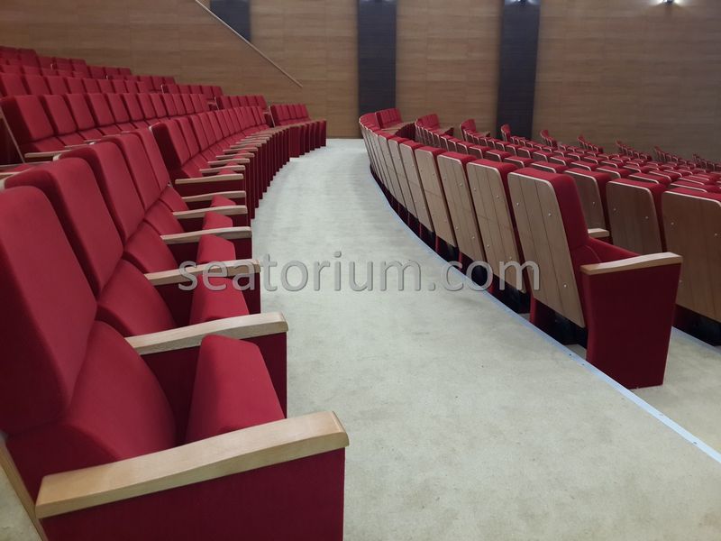 Rize Recep T. Erdoğan University Auditorium Hall - Seatorium™'s Auditorium