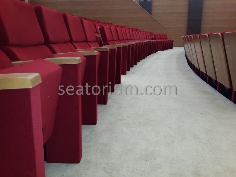 Rize Recep T. Erdoğan University Auditorium Hall - Seatorium™'s Auditorium