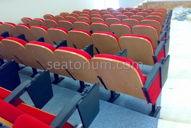 Samsun Bafra Municipality Multi Purpose Room Chairs - Seatorium™'s Auditorium