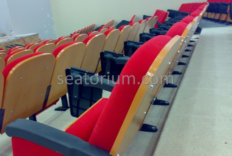 Samsun Bafra Municipality Multi Purpose Room Chairs - Seatorium™'s Auditorium