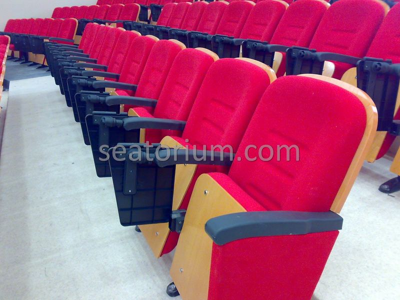 Samsun Bafra Municipality Multi Purpose Room Chairs - Seatorium™'s Auditorium