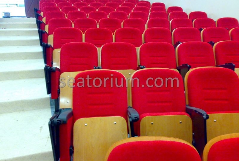 Samsun Bafra Municipality Multi Purpose Room Chairs - Seatorium™'s Auditorium