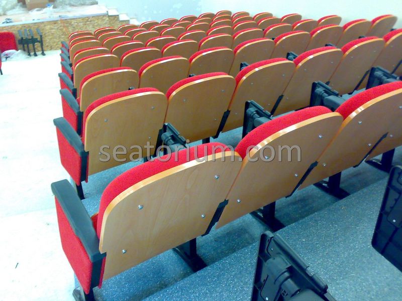 Samsun Bafra Municipality Multi Purpose Room Chairs - Seatorium™'s Auditorium