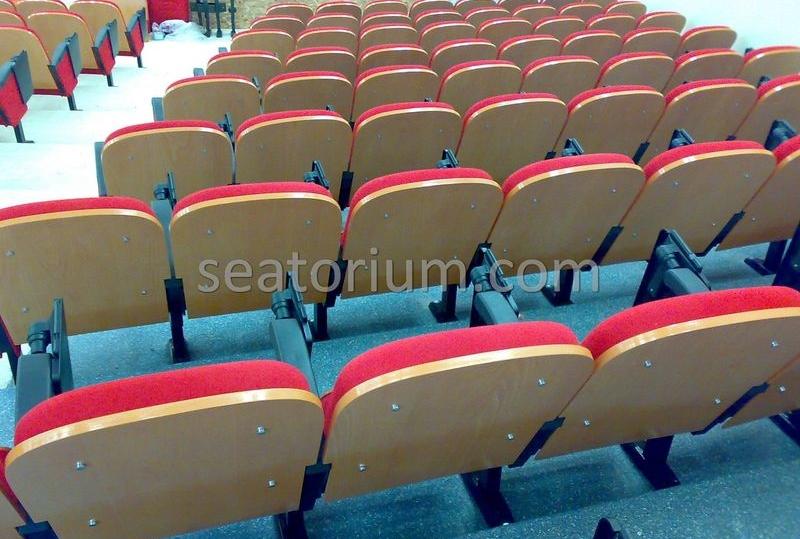 Samsun Bafra Municipality Multi Purpose Room Chairs - Seatorium™'s Auditorium