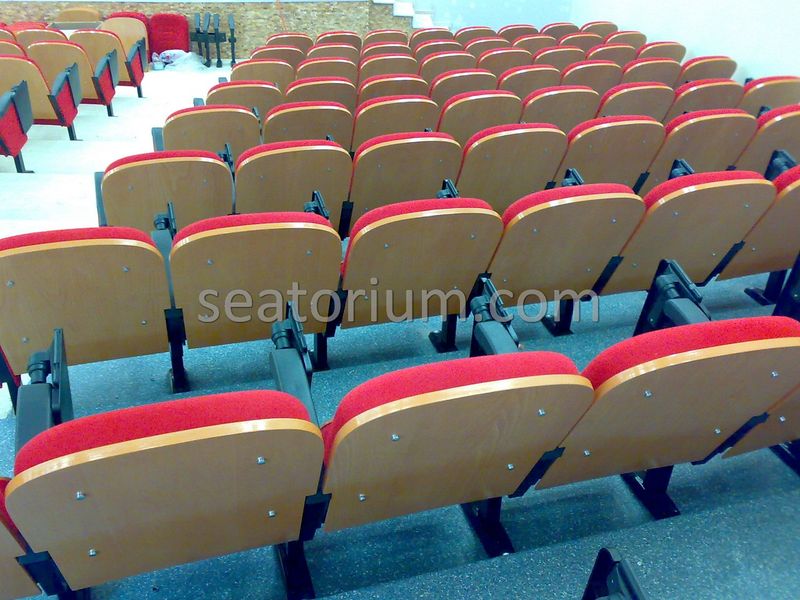 Samsun Bafra Municipality Multi Purpose Room Chairs - Seatorium™'s Auditorium