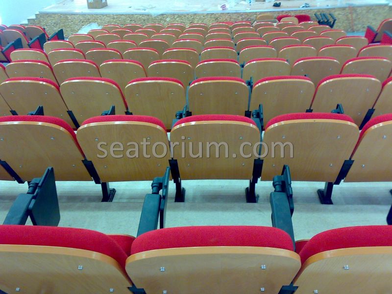 Samsun Bafra Municipality Multi Purpose Room Chairs - Seatorium™'s Auditorium