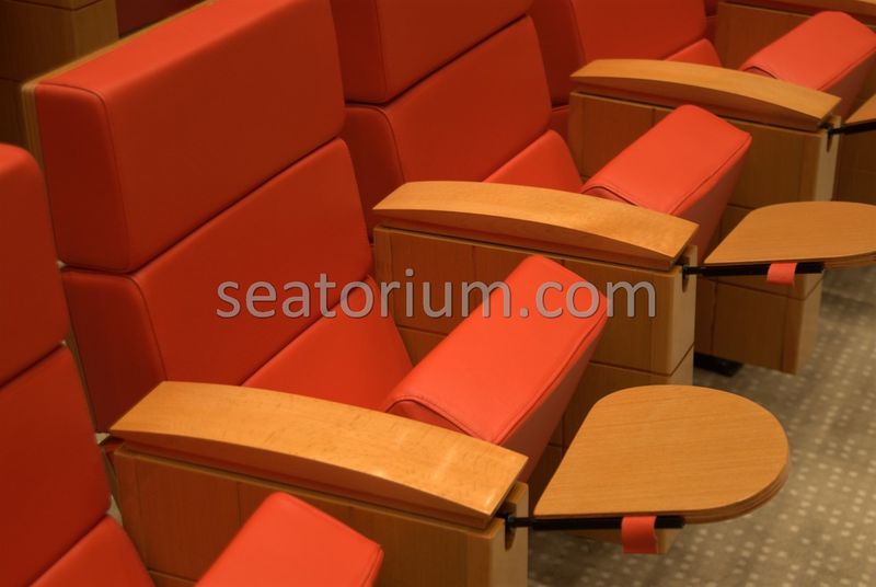 TOBB VIP Multi Purpose Auditorium Chairs Project - Seatorium™'s Auditorium