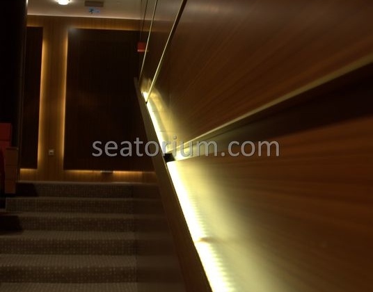 TOBB VIP Multi Purpose Auditorium Chairs Project - Seatorium™'s Auditorium