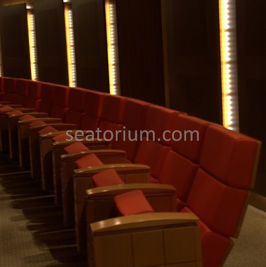 TOBB VIP Multi Purpose Auditorium Chairs Project - Seatorium™'s Auditorium