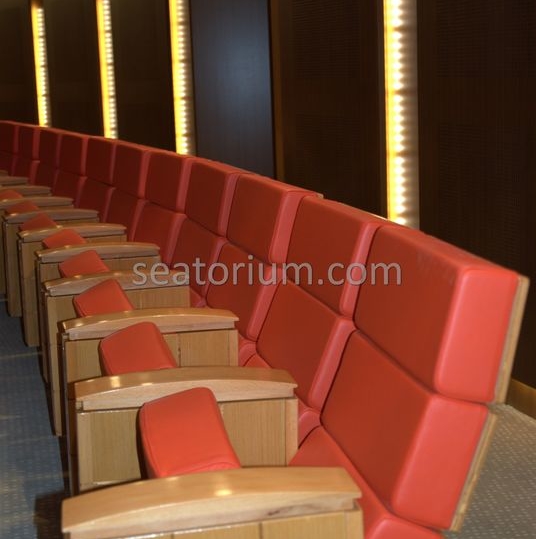 TOBB VIP Multi Purpose Auditorium Chairs Project - Seatorium™'s Auditorium