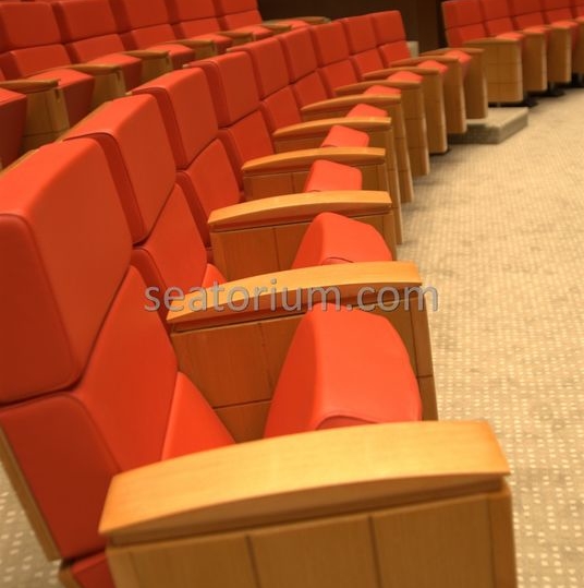 TOBB VIP Multi Purpose Auditorium Chairs Project - Seatorium™'s Auditorium