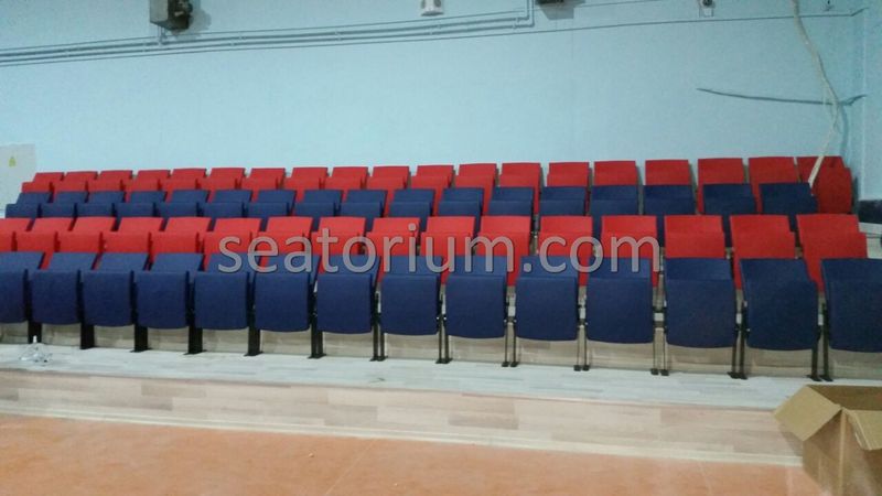 Various Arena & Stadium Seating Projects - Seatorium™'s Auditorium