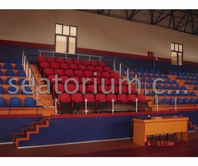 Various Arena & Stadium Seating Projects - Seatorium™'s Auditorium