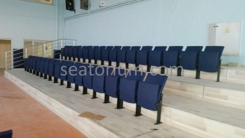 Various Arena & Stadium Seating Projects - Seatorium™'s Auditorium