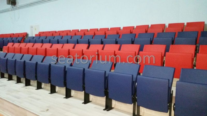 Various Arena & Stadium Seating Projects - Seatorium™'s Auditorium