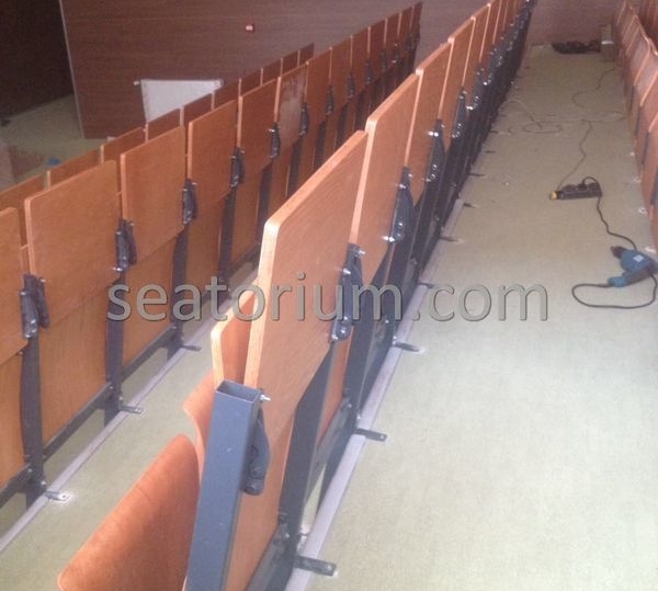 Various Auditorium Chairs Projects - Seatorium™'s Auditorium