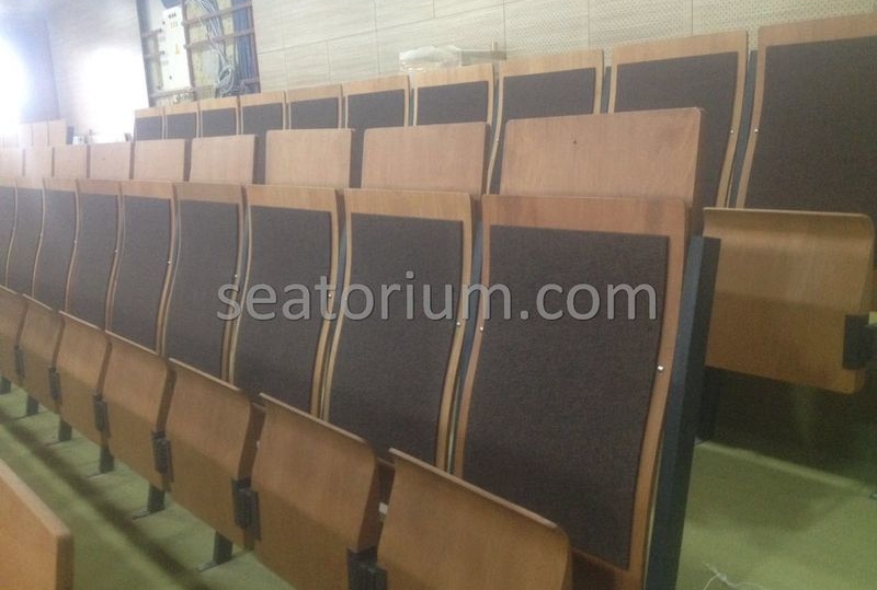 Various Auditorium Chairs Projects - Seatorium™'s Auditorium