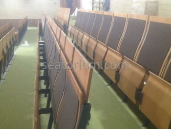 Various Auditorium Chairs Projects - Seatorium™'s Auditorium