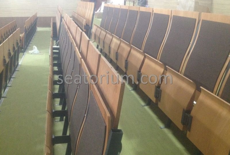 Various Auditorium Chairs Projects - Seatorium™'s Auditorium