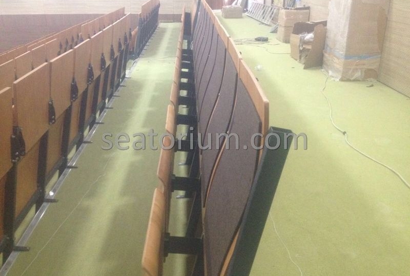 Various Auditorium Chairs Projects - Seatorium™'s Auditorium