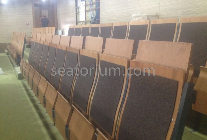 Various Auditorium Chairs Projects - Seatorium™'s Auditorium