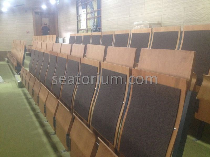 Various Auditorium Chairs Projects - Seatorium™'s Auditorium