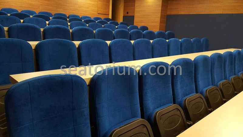Various Auditorium Chairs Projects - Seatorium™'s Auditorium