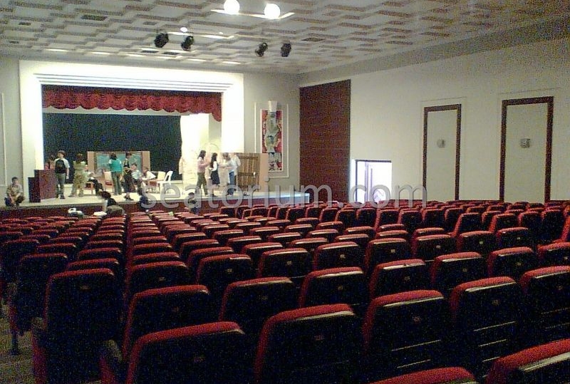 Various Auditorium Chairs Projects - Seatorium™'s Auditorium