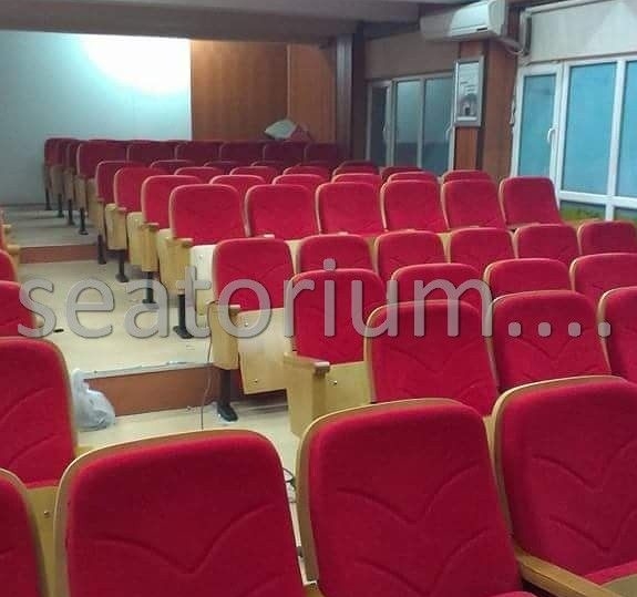 Various Auditorium Chairs Projects - Seatorium™'s Auditorium