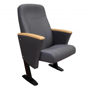 Picasa-K50-1-Auditorium_seats_seatorium