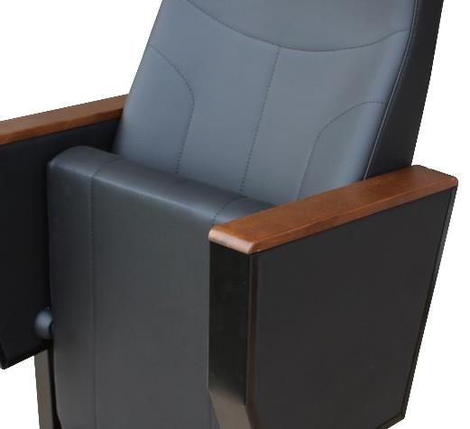 Seatorium Picasa Y80 without writing pad 2